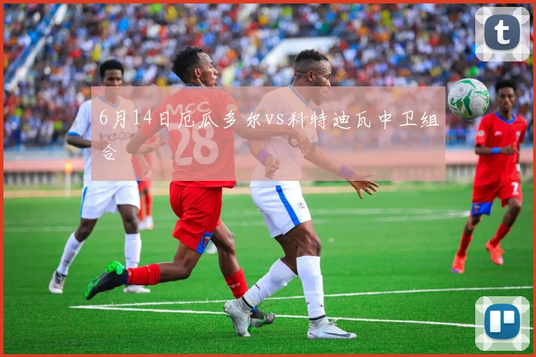 6月14日厄瓜多尔vs科特迪瓦中卫组合