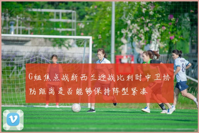 G组焦点战新西兰迎战比利时中卫协防距离是否能够保持阵型紧凑